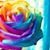 Chantel Durivage's profile image