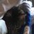 Cheryl Gallup's profile image