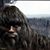 Sean Riley's profile image