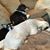 Debbie Ann Crooks's profile image