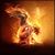 Kris Kay's profile image