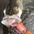 Dave Stephens's profile image