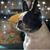 Cindy J. Ray's profile image