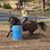 Carmin Shelton's profile image