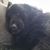 Sue Kirschner's profile image
