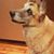Max Rohleder's profile image