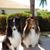 Donna Lovenbury Arthurs's profile image