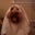 Adam Kovarik's profile image
