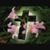 Pandra Seibold's profile image