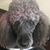 Ida Mendoza Weaver's profile image