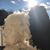 Marla Joyce-Nelson's profile image