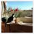 Anna Harrison Griessel's profile image
