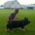Jennifer Quimby Mansfield's profile image