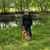 Barbara Carey Bennett's profile image