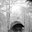 robt's profile image