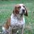 Vickie Saylor's profile image