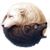 David Medinnus's profile image