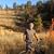 Tracy Gelb's profile image