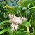 Beverley Boodram's profile image