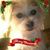 Susie May Johnson's profile image