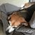 Debra Mullins Qualls's profile image