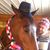 Christine Pitty Pitcairn's profile image