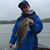 Guy Gould's profile image
