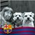 Sue Roebuck's profile image