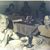 Deborah Larsen Herlan's profile image