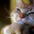 Eddie Turnipseed's profile image