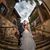 Kelly Pizzuti's profile image