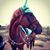 Sylvia LeAnn Steele's profile image