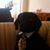 Jona Healy-Falencki's profile image