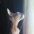 Kimberly Larkie's profile image