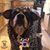 Fauna McDowell's profile image