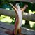 Sally Ross's profile image