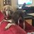 Ellen Rivard's profile image