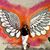 Karee Shipcott's profile image
