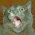 Kathy Francke's profile image
