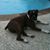 Sherri Brokaw's profile image