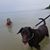 Heather Trapp's profile image