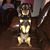 Lisa Ann Rose's profile image