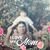 Lori Ann Dennis's profile image