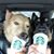 Sheila Cozzucoli Legge's profile image