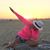 Sue Piper Geyer's profile image
