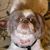 Johnny Garland's profile image