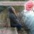 Jeanne Summa-Becvar's profile image