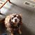 Nancy Dure's profile image