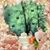 Sue Mccracken's profile image
