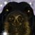 Braunda Perry's profile image